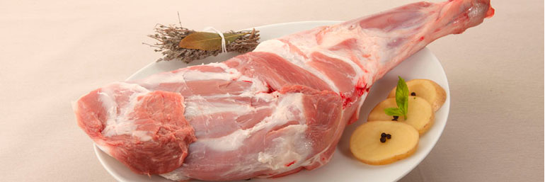 Descifrando el Cordero